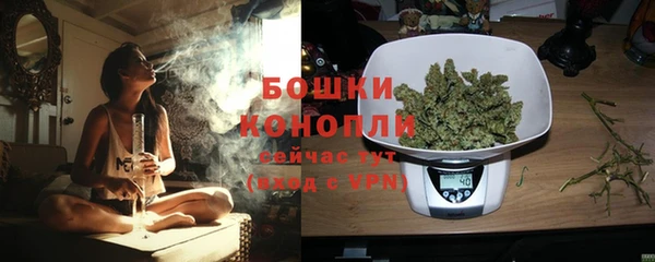 сатива Аркадак