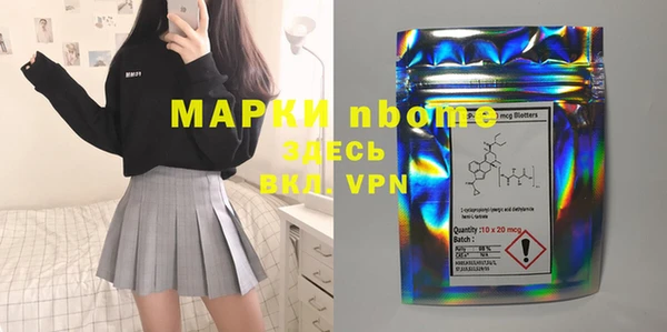 сатива Аркадак