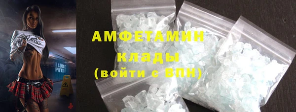 сатива Аркадак
