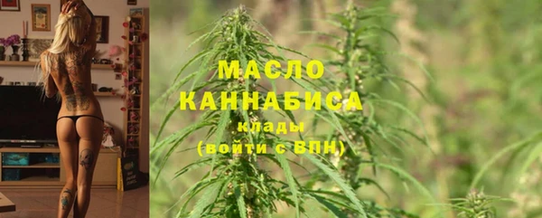 сатива Аркадак