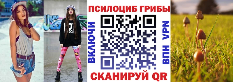 где можно купить   Ипатово  Псилоцибиновые грибы Psilocybine cubensis 